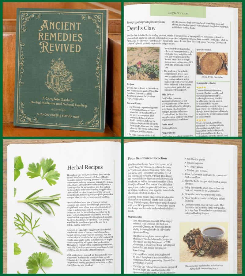 Ancient Remedies Revived